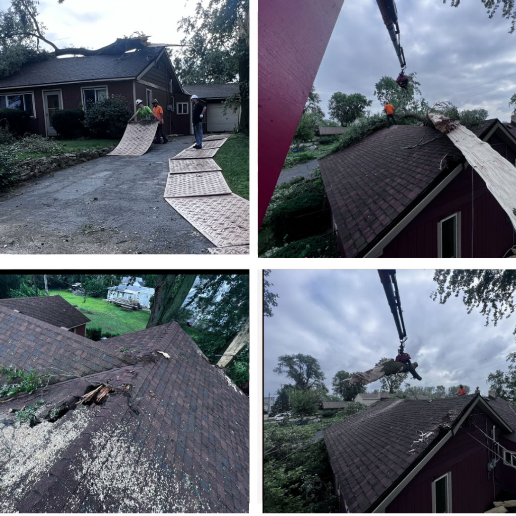 emergency tree removal toledo