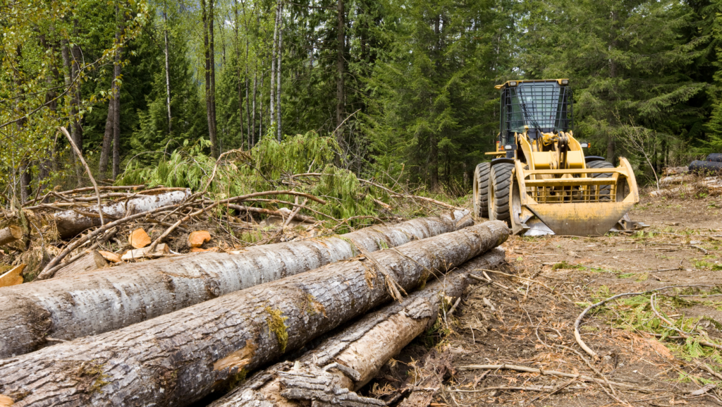 land clearing company near me