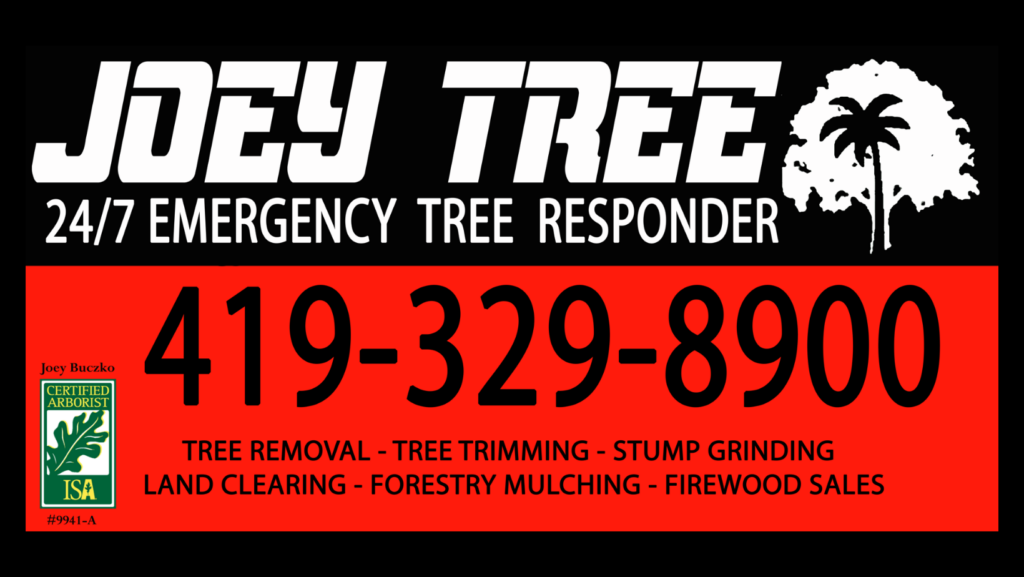 tree removal company near me