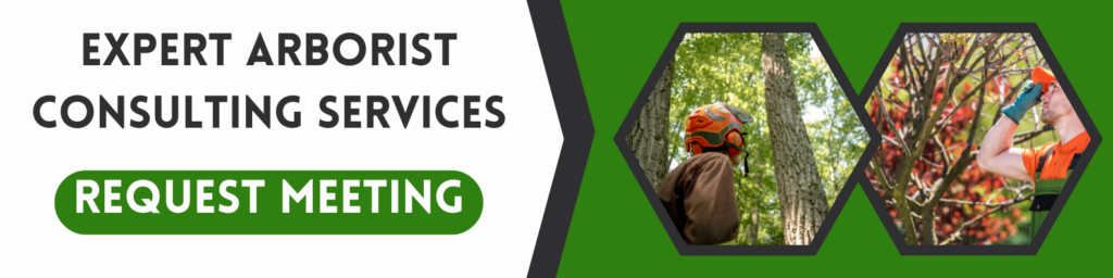 ohio arborist