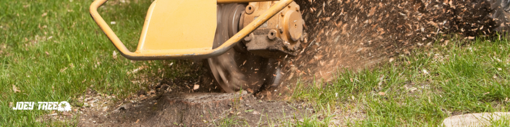 tree stump grinding near me