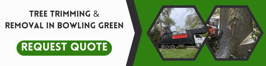 tree care near me