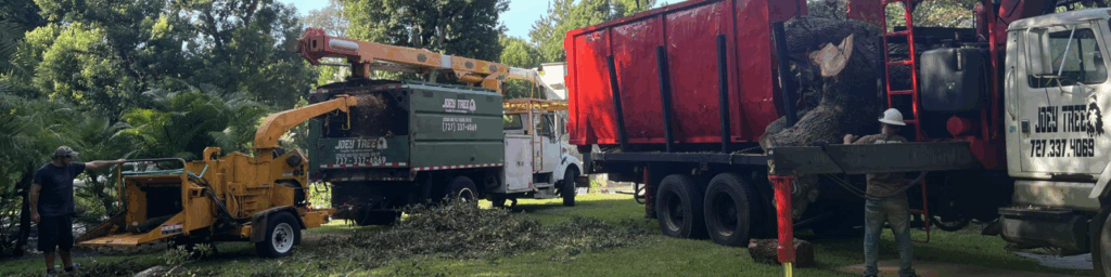 toledo ohio tree removal services
