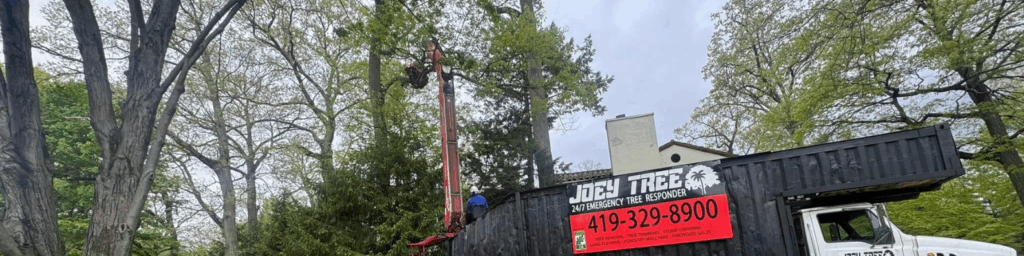 tree removal for toledo businesses