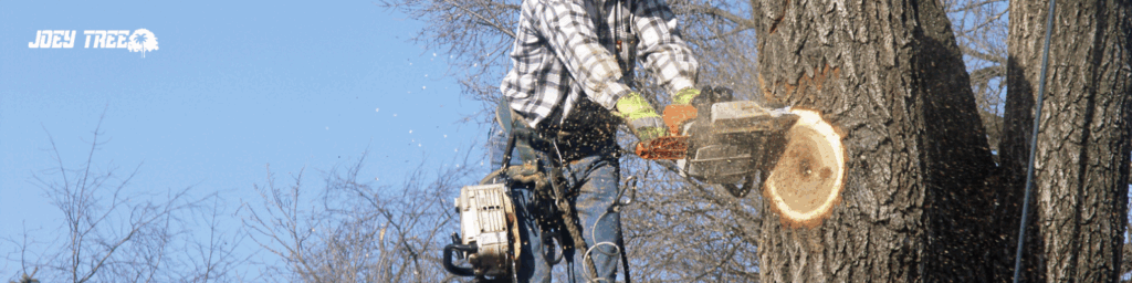Emergency Tree Cutting Service