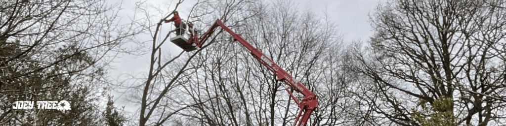 removing tree limbs with crane