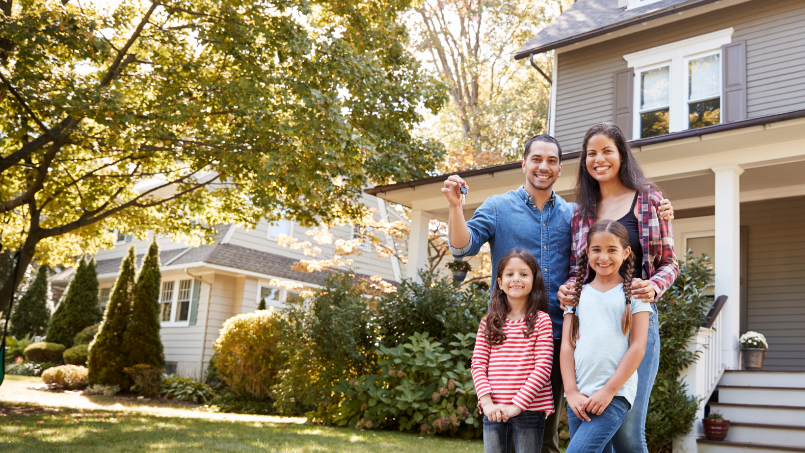 tree removal for new house toledo