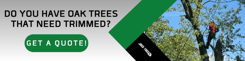 tree trimming removal