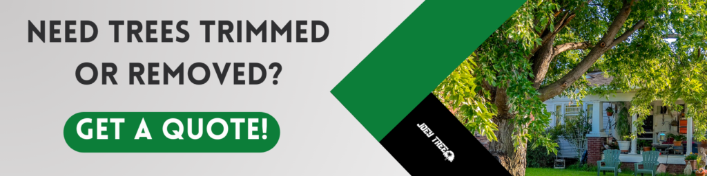 get a tree removal quote