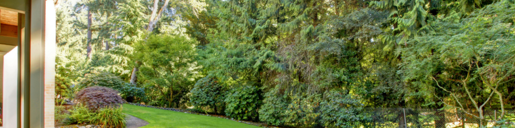 do trees increase home value