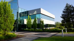 Commercial Tree Service In Toledo