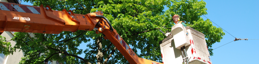 emergency tree service commercial