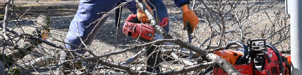 tree safety commercial properties