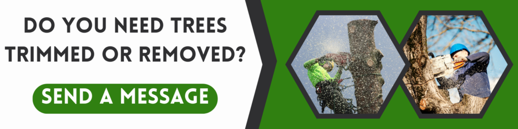 get help with oak trees