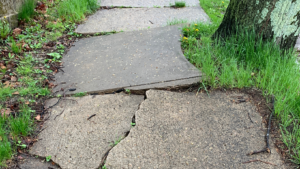 cracked sidewalk from tree roots help toledo