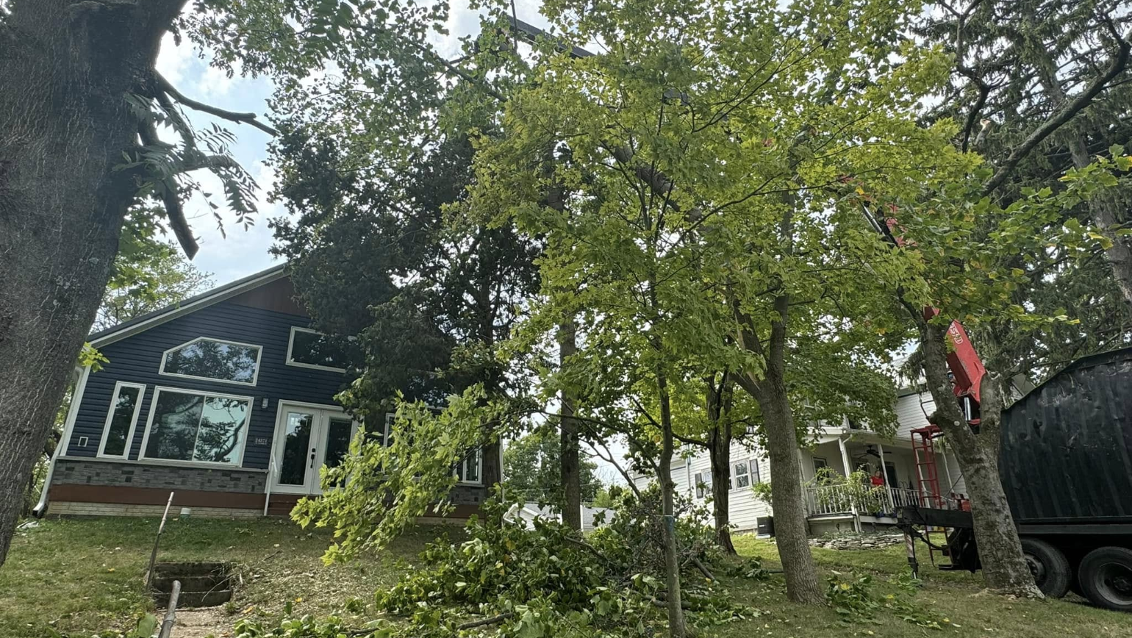 Large residential tree removal project in South Toledo Ohio